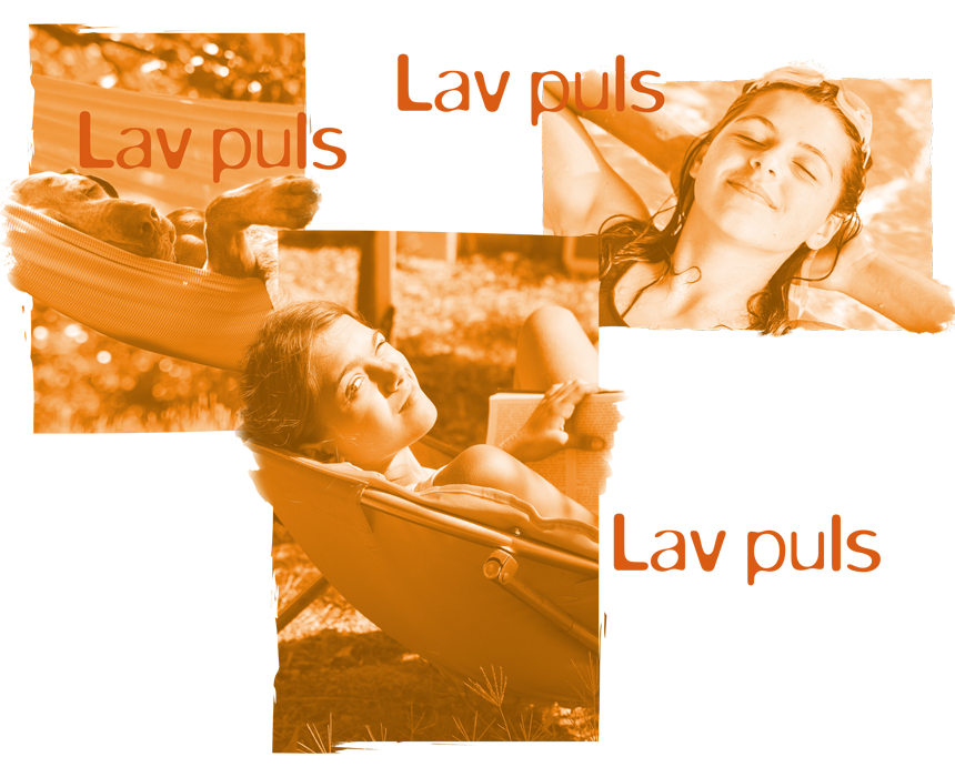 Ristinge forside - Lav puls