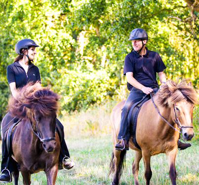 Reiten auf Langeland